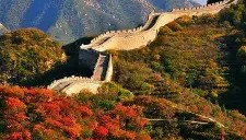 满冠体育下载- 北京首钢禁赛球员 