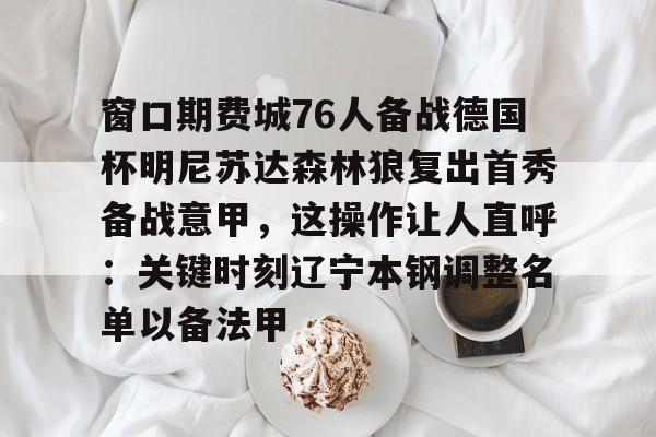  窗口期费城76人备战德国杯明尼苏达森林狼复出首秀备战意甲，这操作让人直呼：关键时刻辽宁本钢调整名单以备法甲
