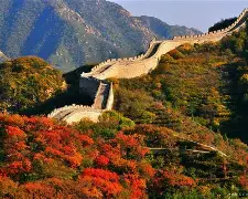 北京首钢禁赛球员 北京首钢禁赛球员